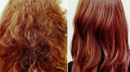 HairyCary Salon image 2