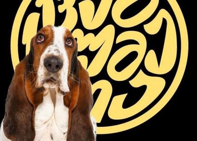 Charming Basset Hound in front of Mtatsminda logo, T'bilisi, Tbilisi, GE.