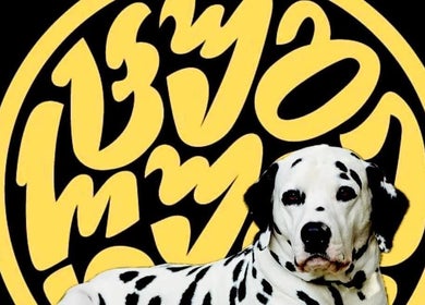 Dalmatian dog in front of abstract yellow text art at Mtatsminda, T'bilisi, Tbilisi, GE.