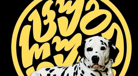Dalmatian dog in front of abstract yellow text art at Mtatsminda, T'bilisi, Tbilisi, GE.