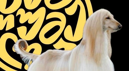 Graceful dog with long fur in front of artistic design at საგურამო, თბილისი, GE.