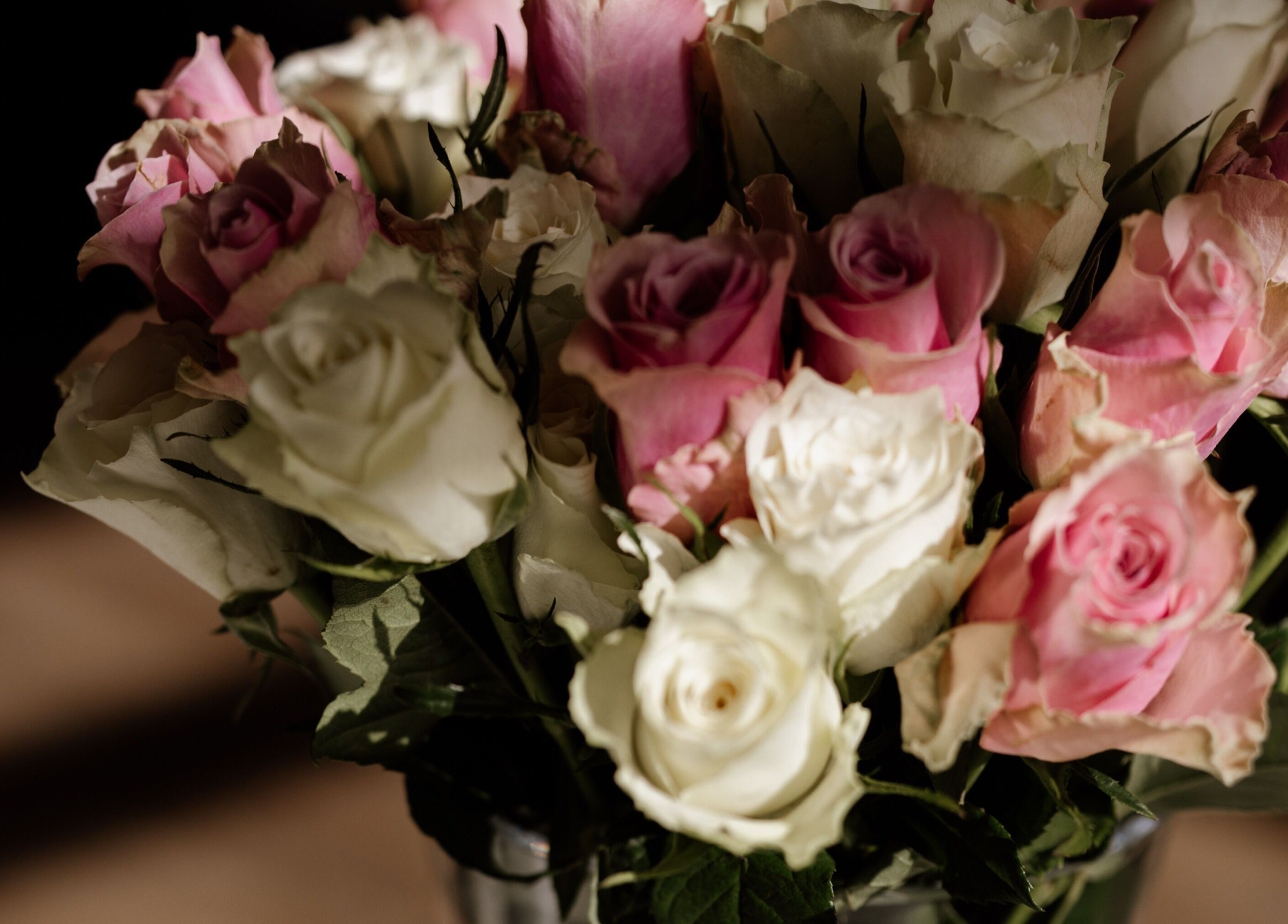 Graceful pink and white roses display at Salon No.7, Lytham St Annes, England, GB.
