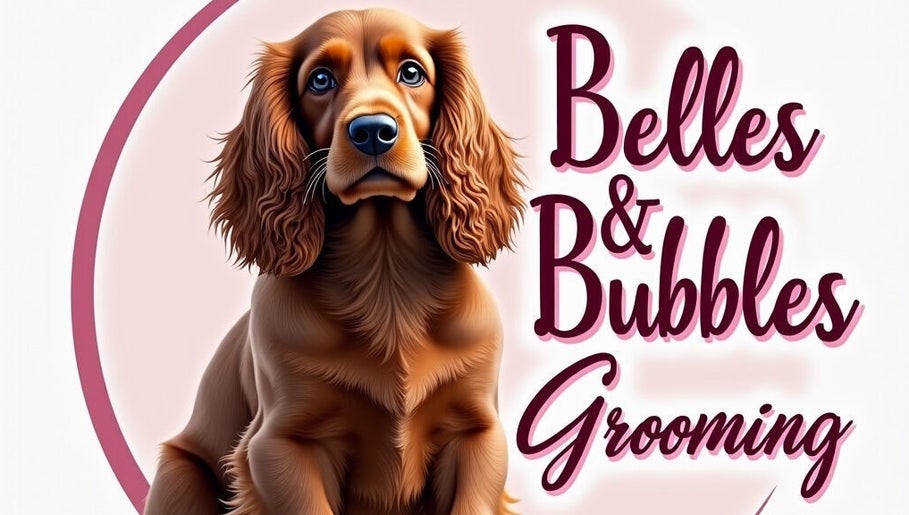 Belles and Bubbles Dog Grooming image 1