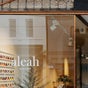 SALON ALEAH WINDSOR