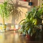 Massage Season - 30 Bureau Drive, Gaithersburg, Maryland