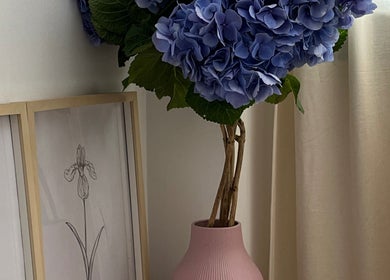Elegant blue hydrangeas in a pink vase at Ekaterina Kuzmina, Cascais, Lisboa, PT.