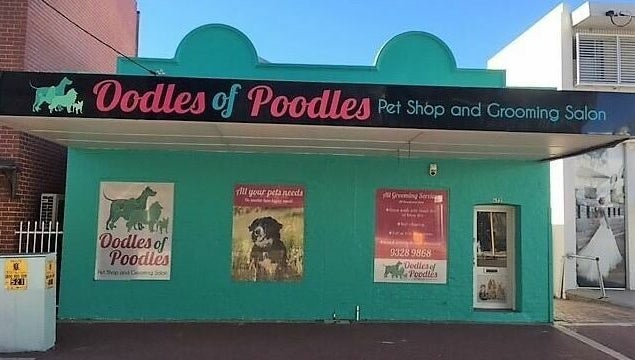 Oodles Of Poodles image 1