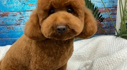 Oodles Of Poodles image 2