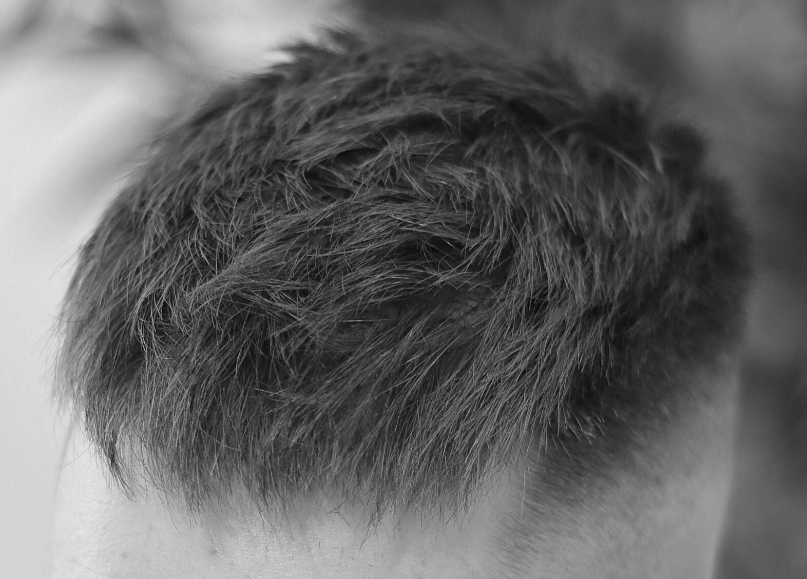 Close-up of a stylish men's haircut at Studio Zero Essendon, Melbourne, Victoria, AU.