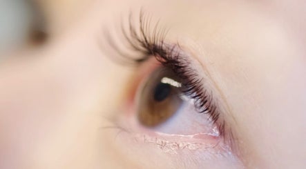 Pearl Lash Lab image 2