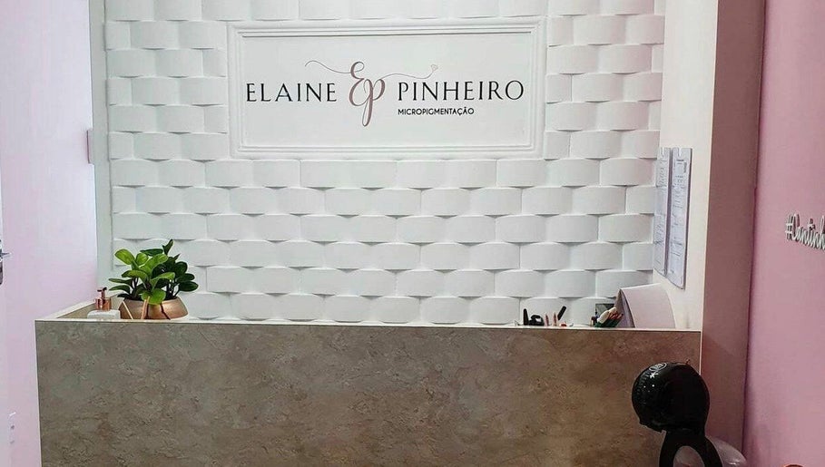 Elaine Pinheiro Beauty e Academy изображение 1
