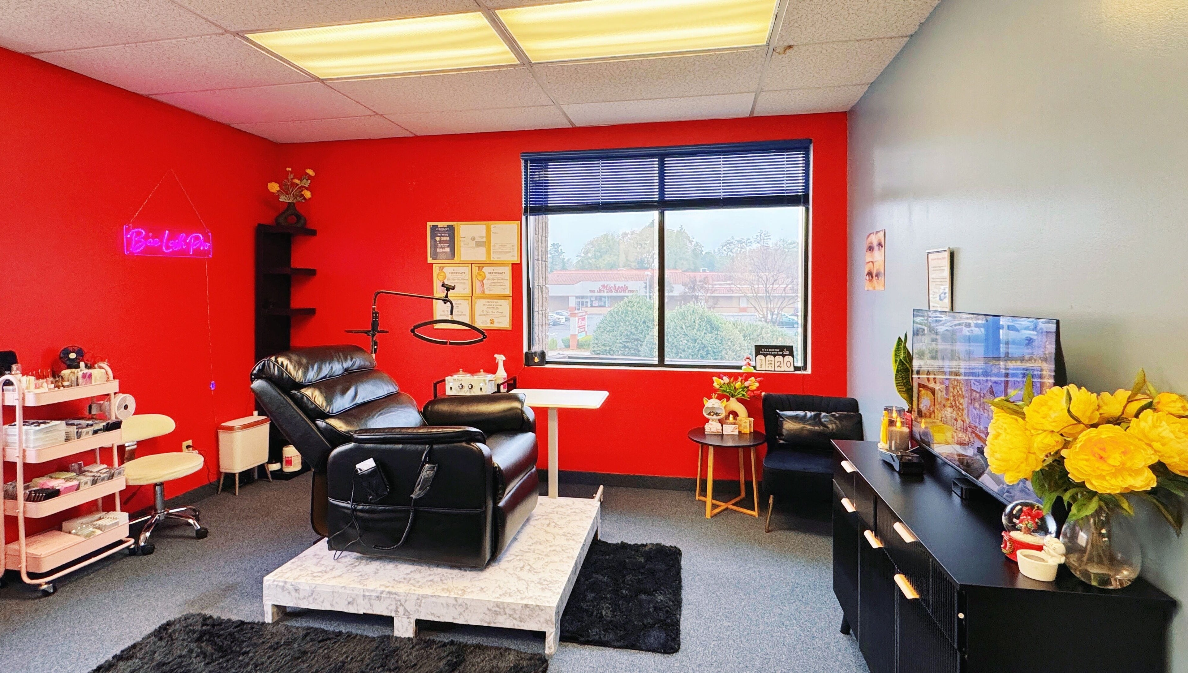 Luxe room at Bae Lash Pro, San Jose, California with a treatment chair and vibrant decor.