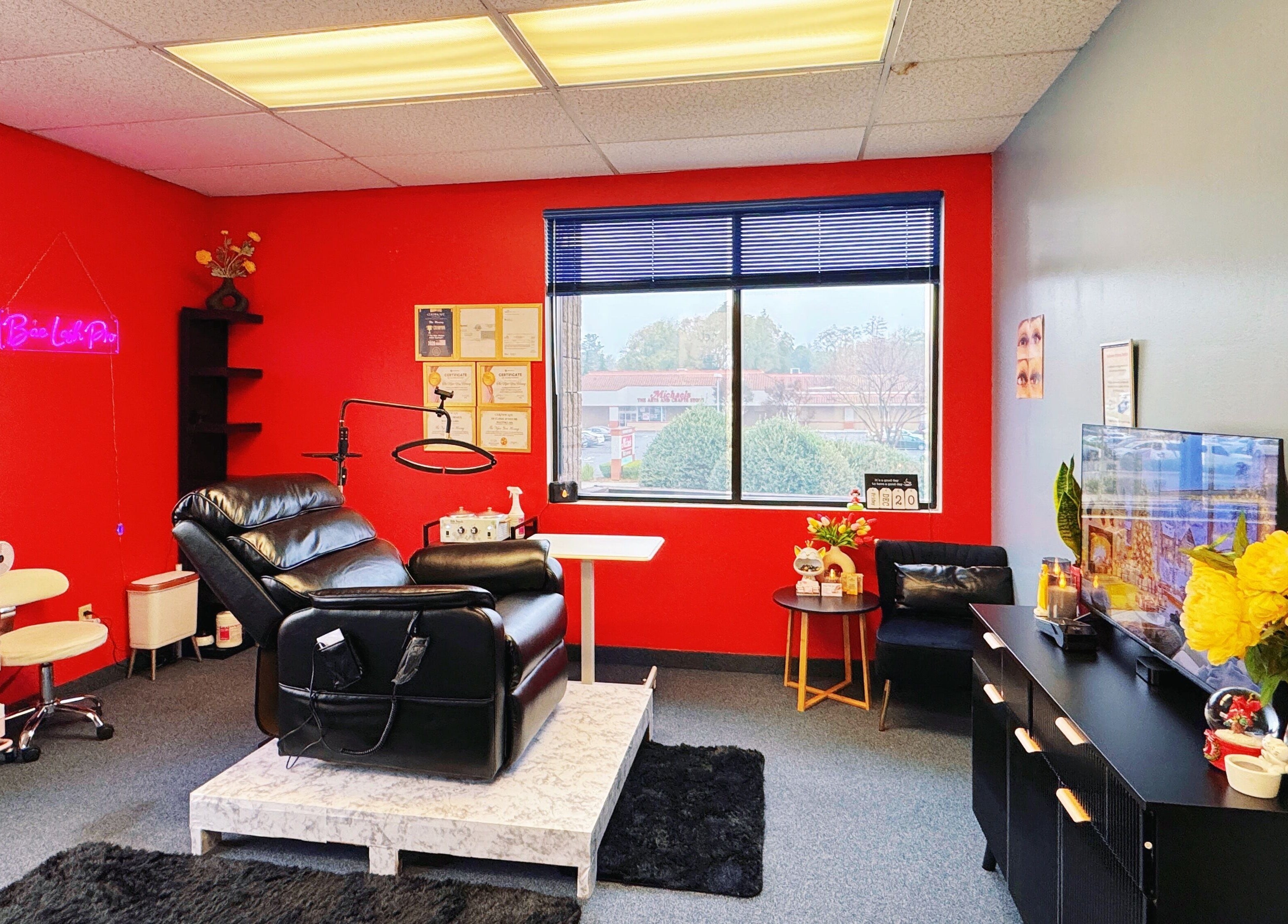 Luxe room at Bae Lash Pro, San Jose, California with a treatment chair and vibrant decor.