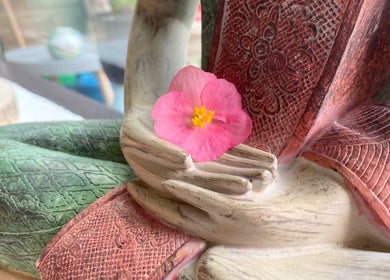 Close-up of a Buddha statue with pink flower at Soulful Therapy, Amsterdam, Noord-Holland, NL.