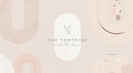 The Tortoise And The Hair