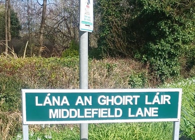 Peaceful road near The Healing Room, Dublin, Dublin, IE. Lush greenery and serene surroundings.