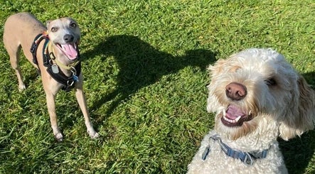 ChCh Pet Sitter image 2
