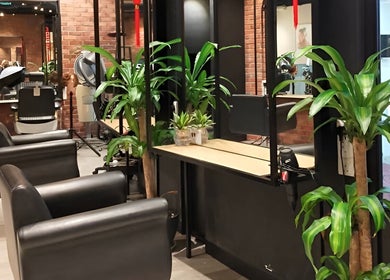 Stylish salon interior with plants at C.Michael London, Kuala Lumpur, Wilayah Persekutuan Kuala Lumpur, MY.