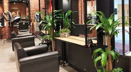 Stylish salon interior with plants at C.Michael London, Kuala Lumpur, Wilayah Persekutuan Kuala Lumpur, MY.