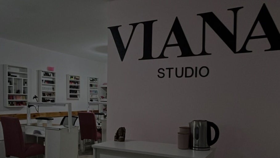 Viana Studio obrázek 1