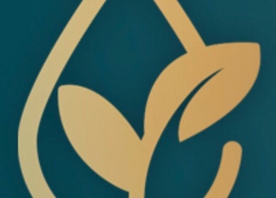Elegant golden leaf logo of Rejuvenate by Janka, Hatfield, England, GB, on green background.