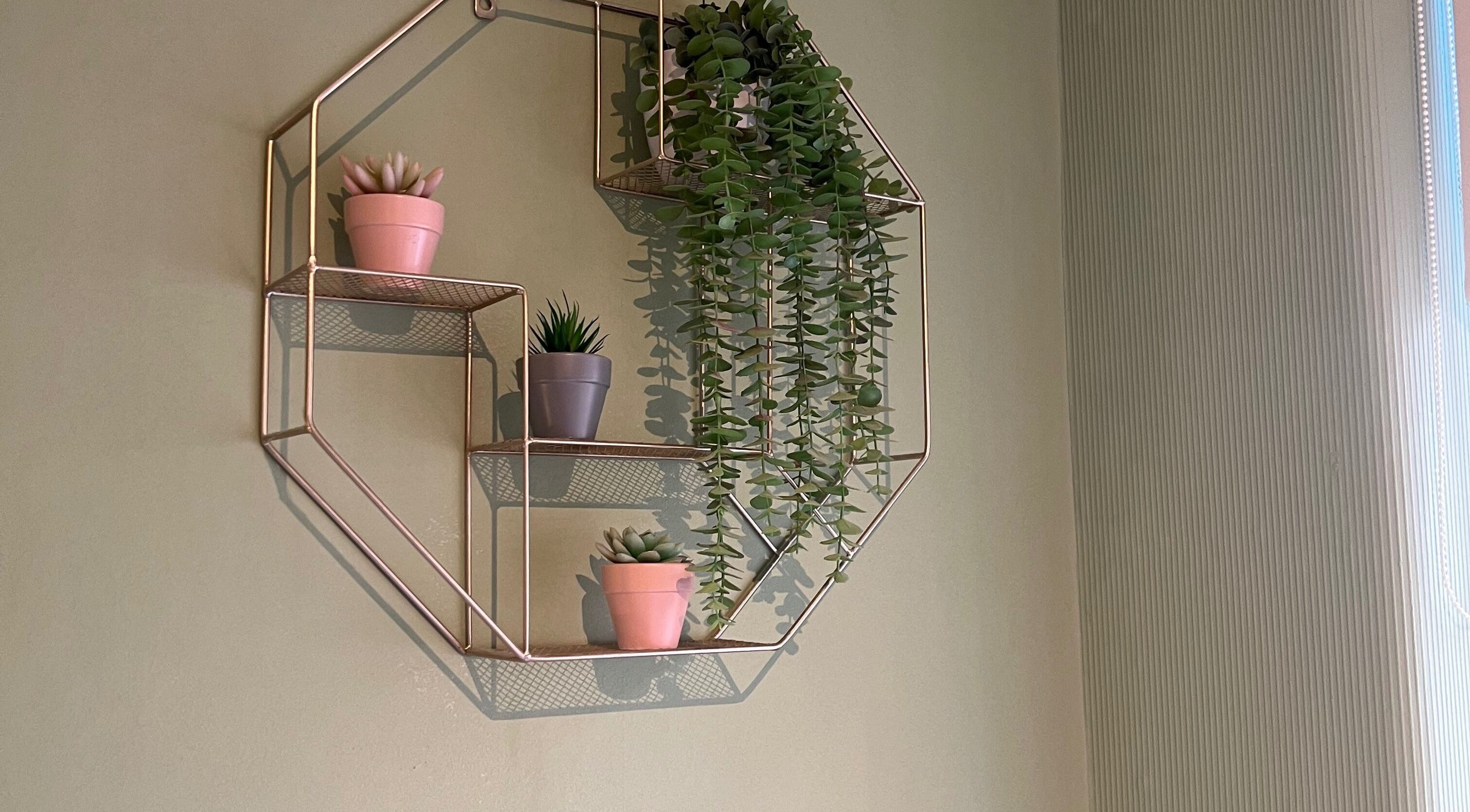 Decorative wall garden with plants at 1 Love Enhancink @Studio55, Urmston, England, GB enhancing relaxation.