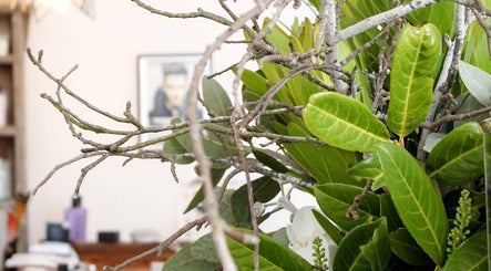 Natural decor at Cass at Marina Drive, Shell Cove, New South Wales, AU enhances serene spa ambiance.