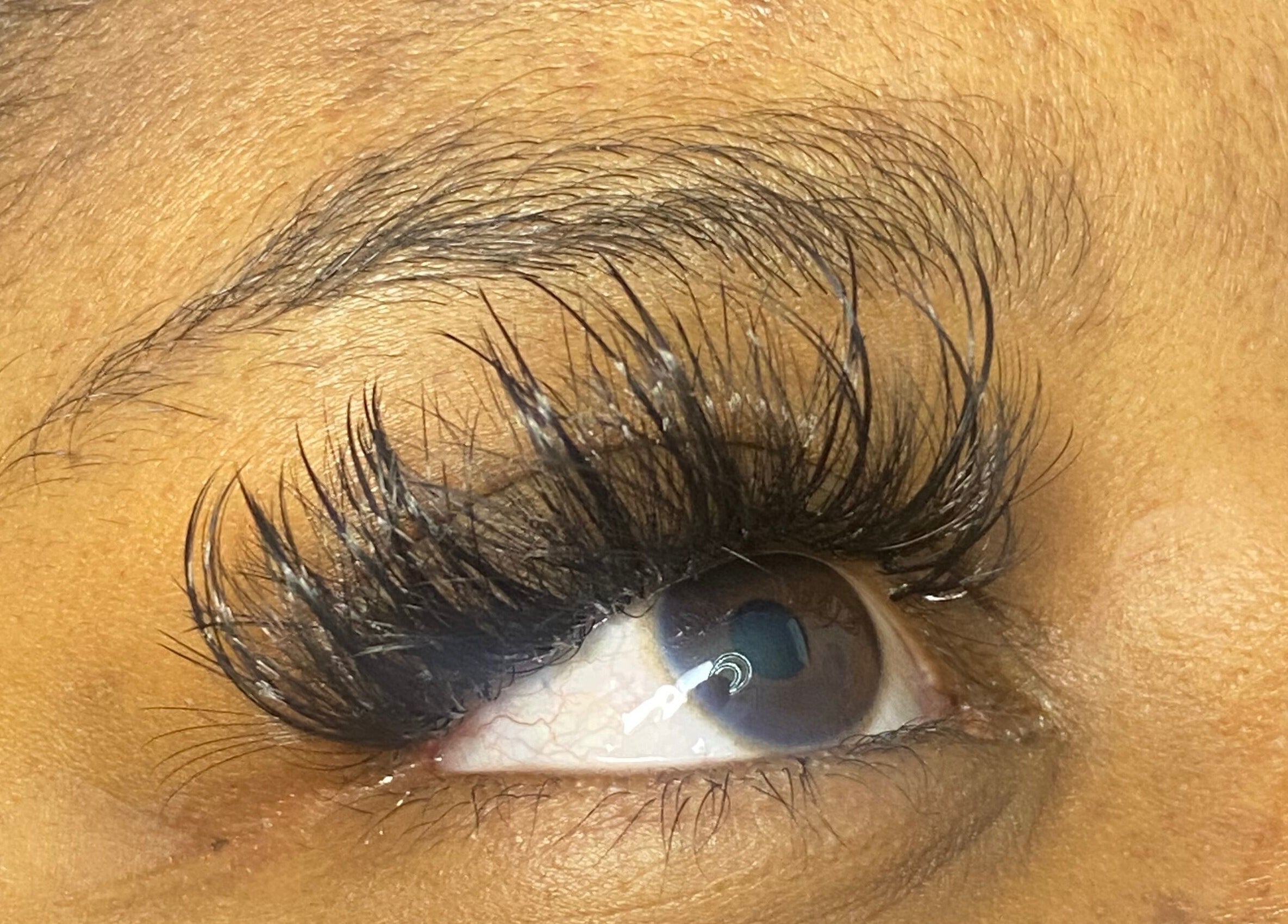 Dramatic lash extensions at Comfy Lux Lash, Fountain Inn, South Carolina, US.