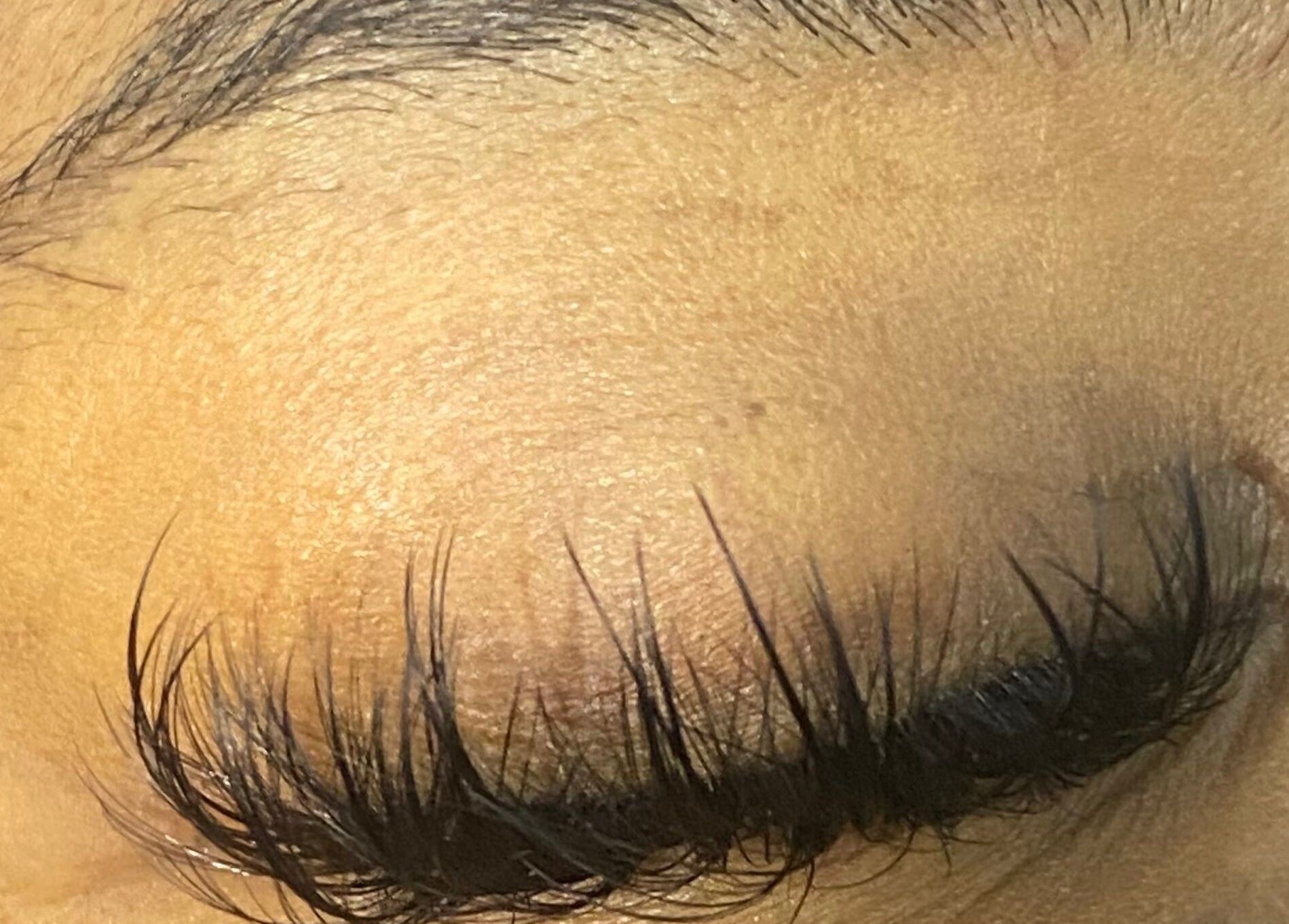 Close-up of luxurious eyelash extensions from Comfy Lux Lash, Fountain Inn, South Carolina, US.