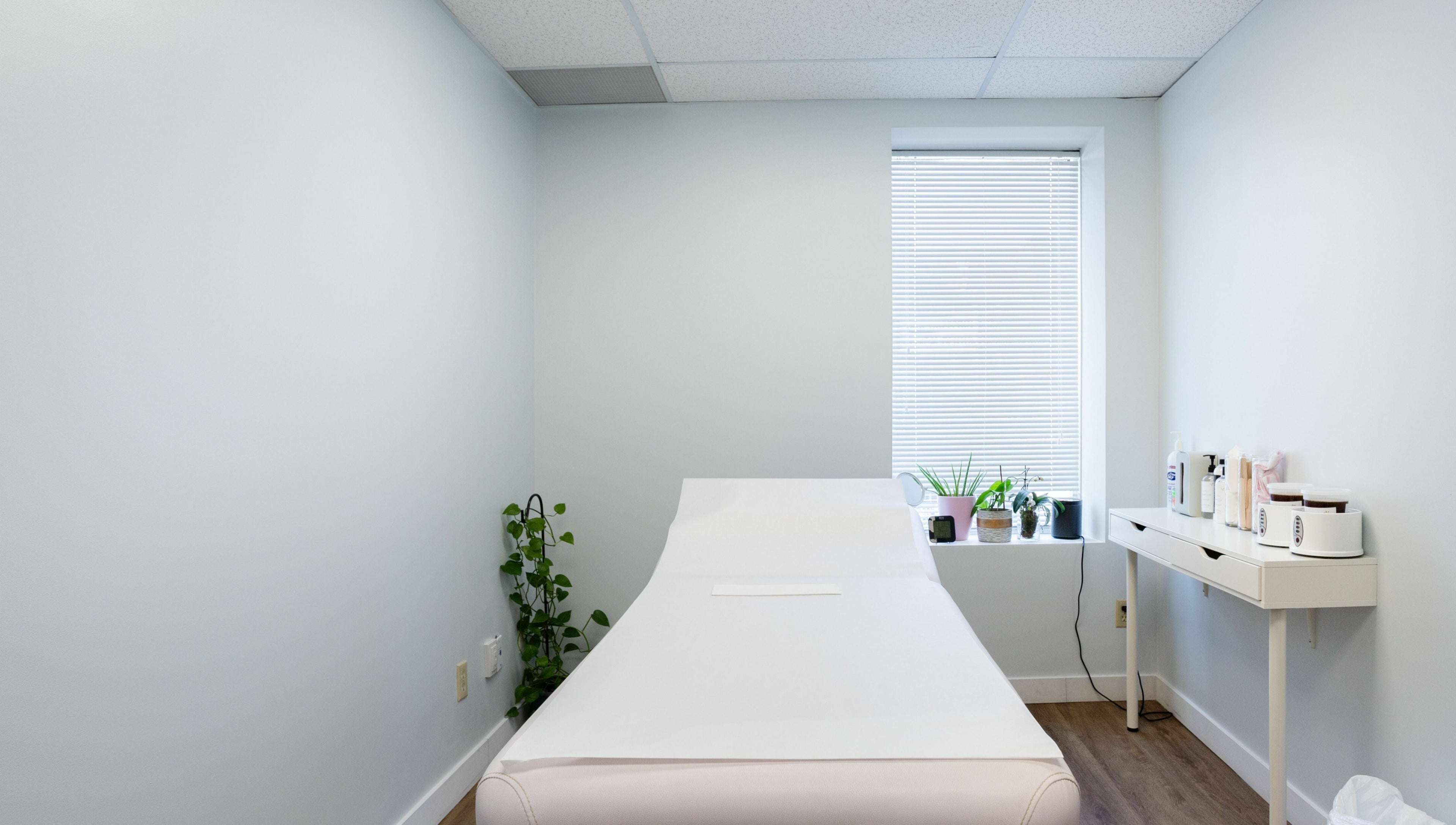 Relaxing treatment room at Lovely Sugaring, Toronto, Ontario, CA, with plants and a massage table.