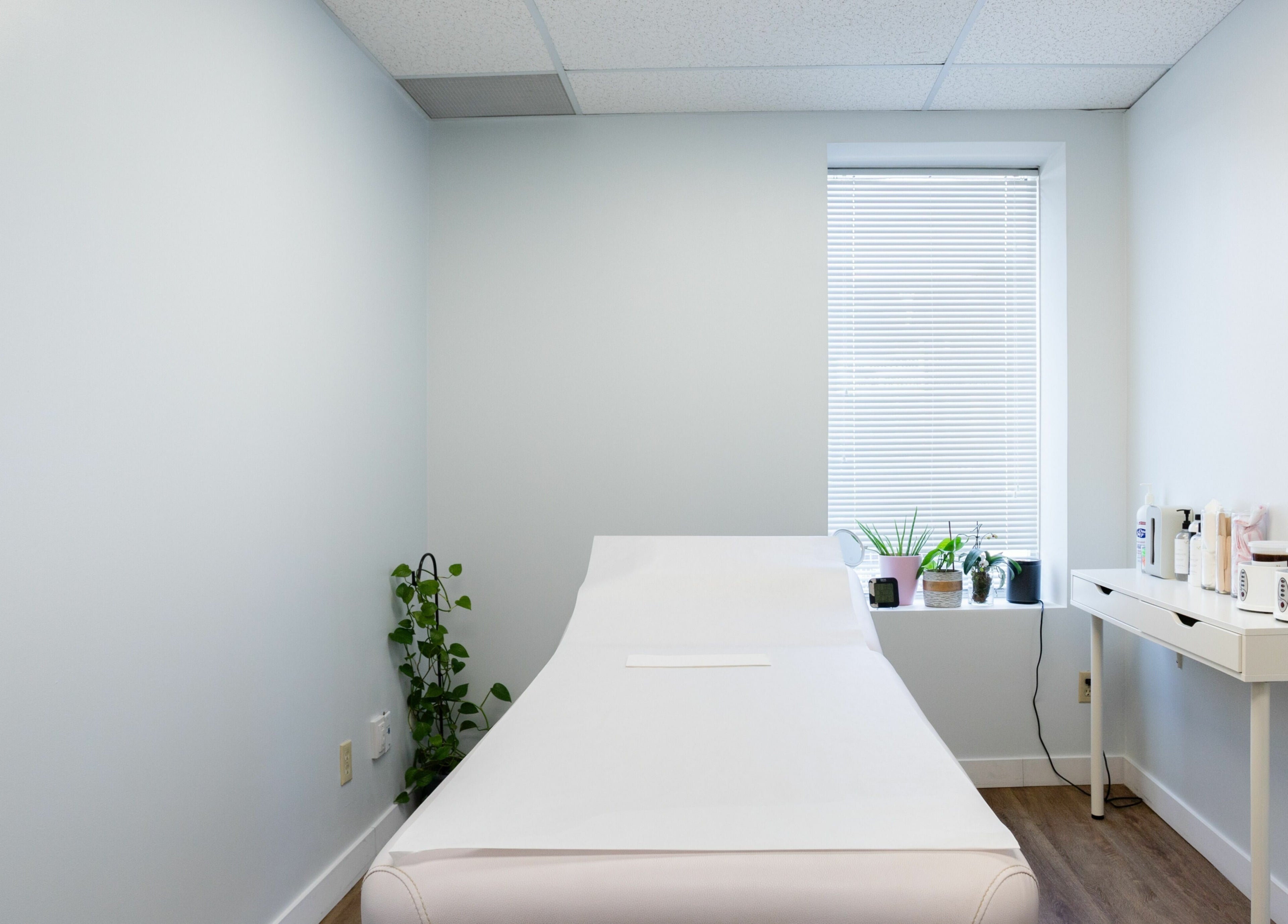 Relaxing treatment room at Lovely Sugaring, Toronto, Ontario, CA, with plants and a massage table.