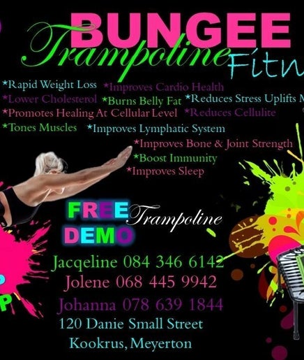 Shape Up Bungee & Trampoline Fitness  image 2
