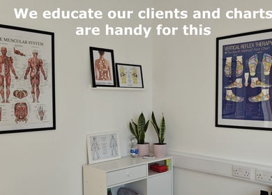 Educational charts in therapy room at LGholistic complementary and physical therapies clinic, Limerick, County Limerick, IE.