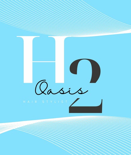 H2Oasis изображение 2