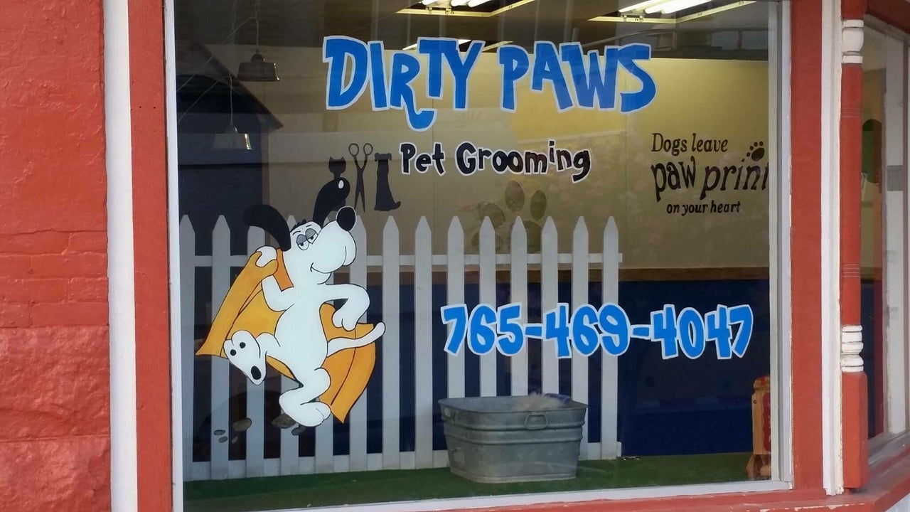 Grooming locations near sales me