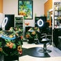 Bongos Barbershop and Salon - 3140 Moseley Drive, Greenville, North Carolina