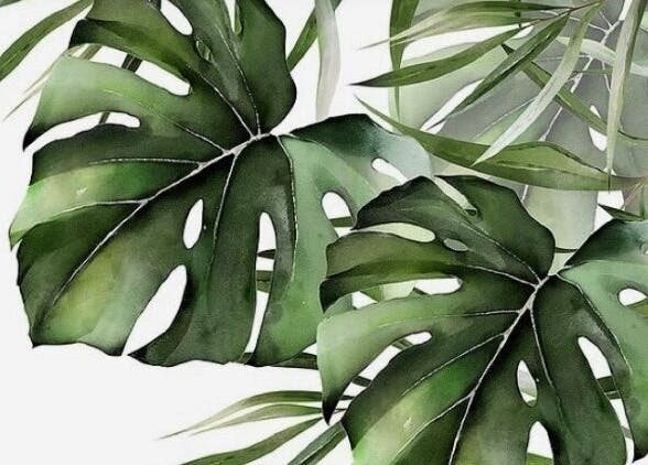 Artistic tropical leaves decor at Shines Nail Art, Klerksdorp, North West, ZA.