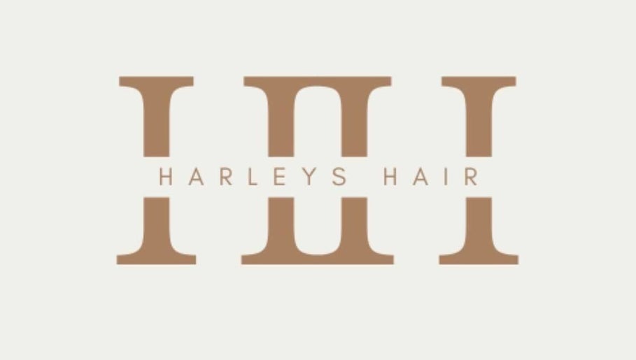 Harley’s Hair imagem 1