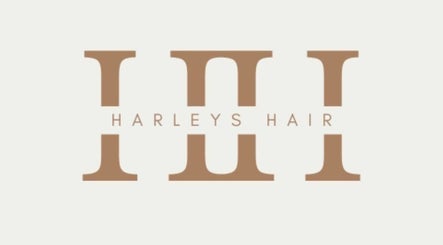 Harley’s Hair