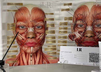 Anatomy diagrams at LR Skin & Aesthetics, Leicester, England, GB showcasing facial muscles and veins.