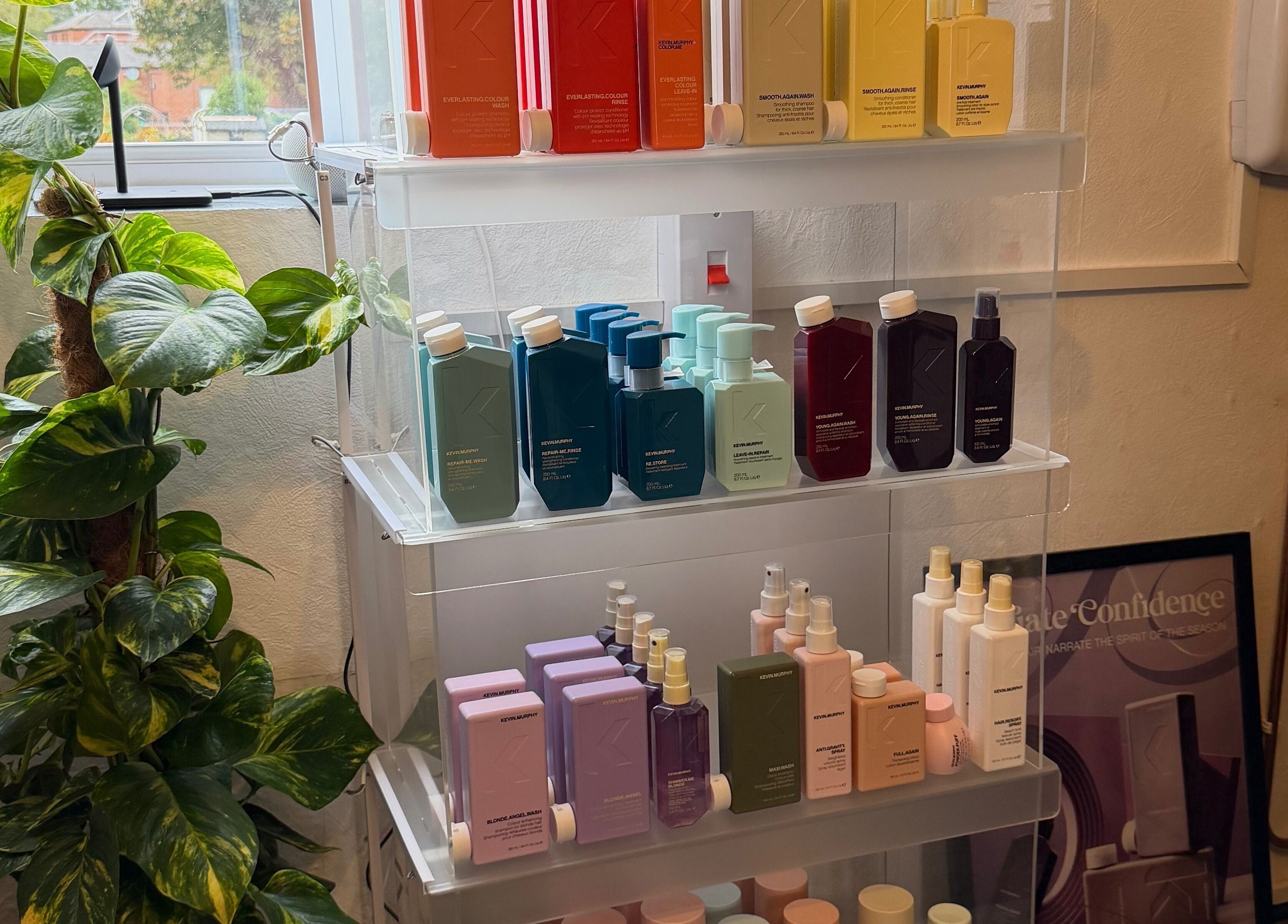 Colorful product display at The Colour Room, Alcester, England, GB, with lush green plant.
