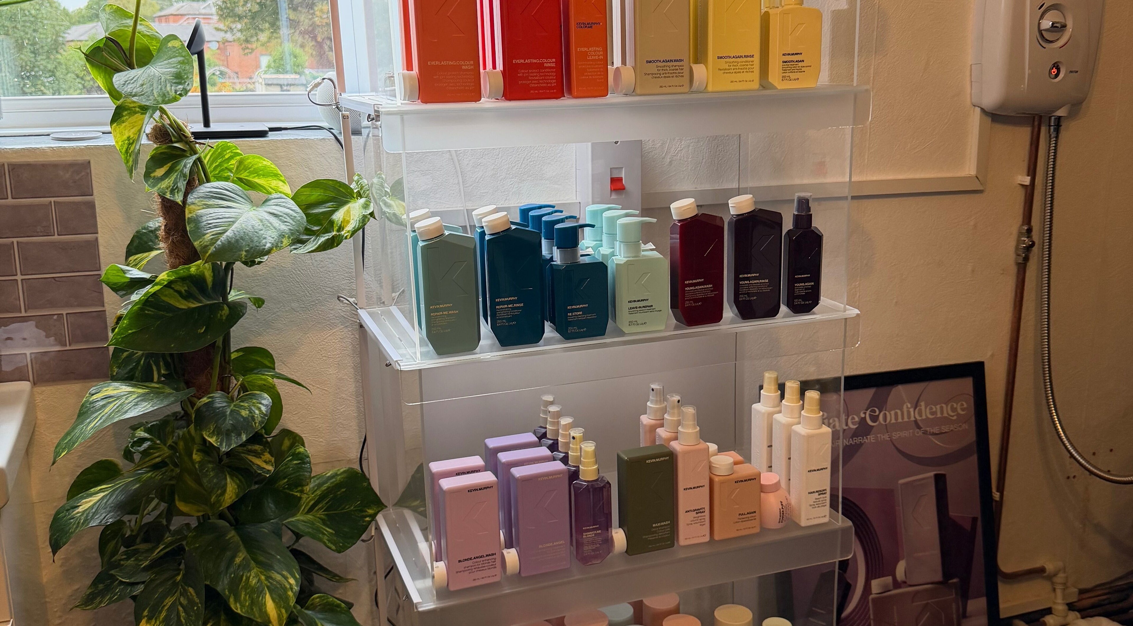 Colorful product display at The Colour Room, Alcester, England, GB, with lush green plant.