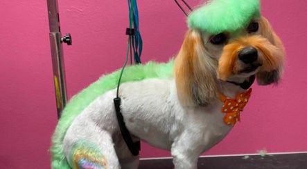 Image de Precious Babies Dog Grooming 3