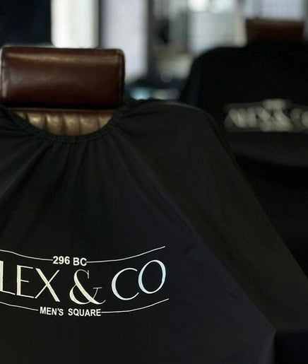 Alex and Co image 2