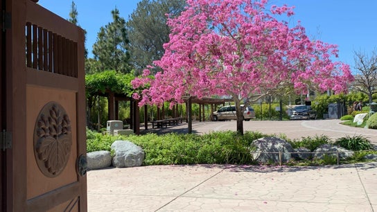 San Diego Reiki (Japanese Friendship Garden) 0
