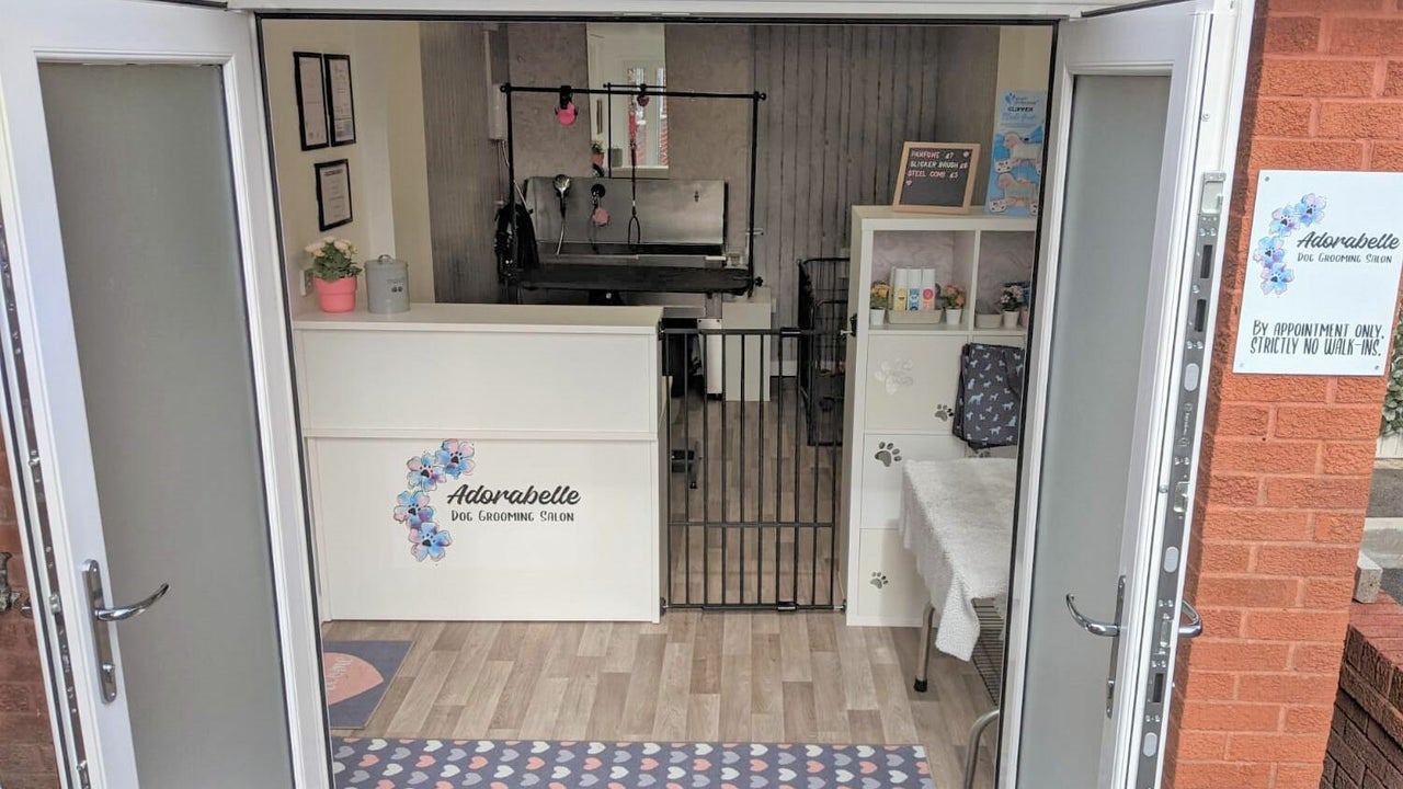 Dog grooming store salons near me