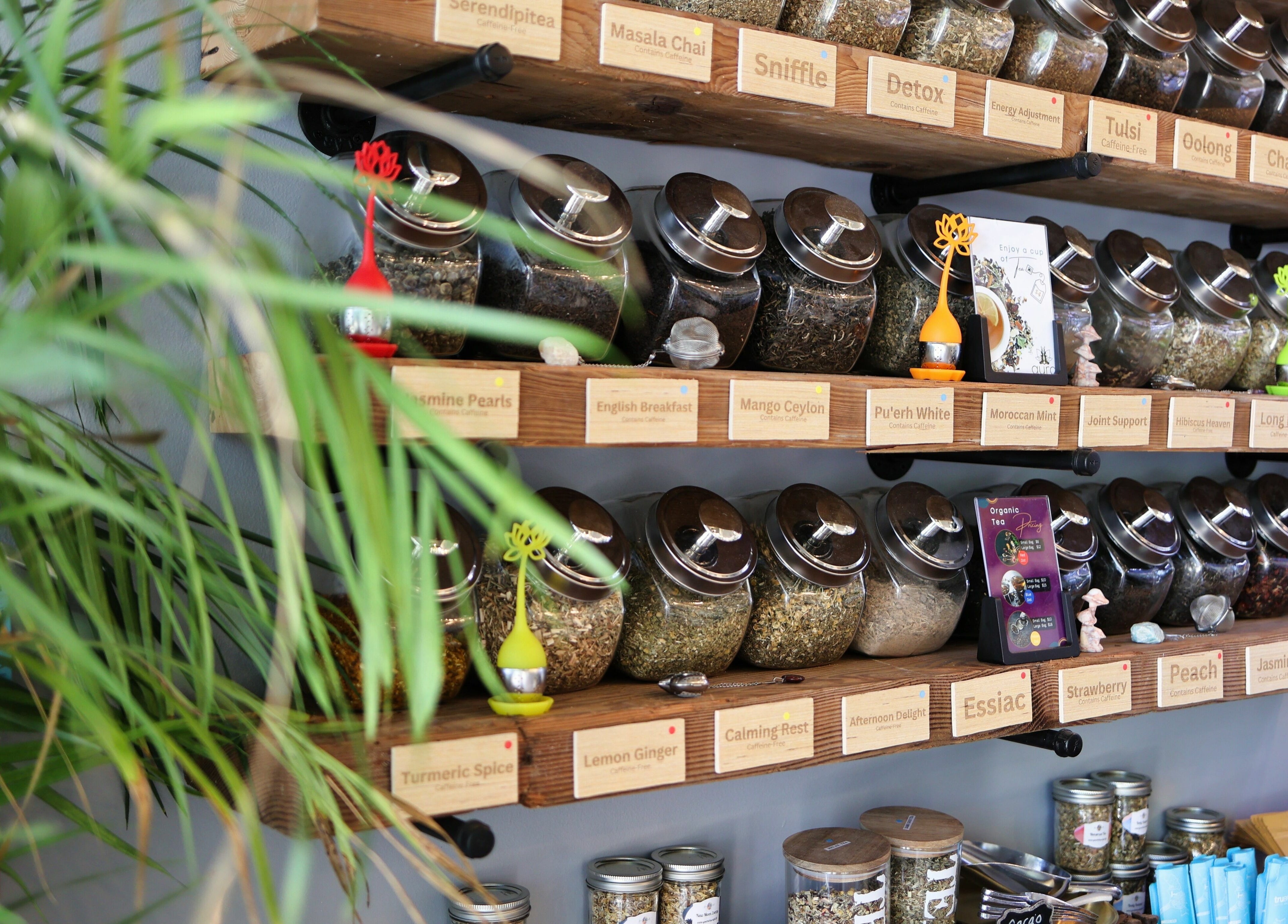 Herbal jars on wooden shelves at Aura Holistic and Metaphysical Wellness in Aurora, Illinois, US.