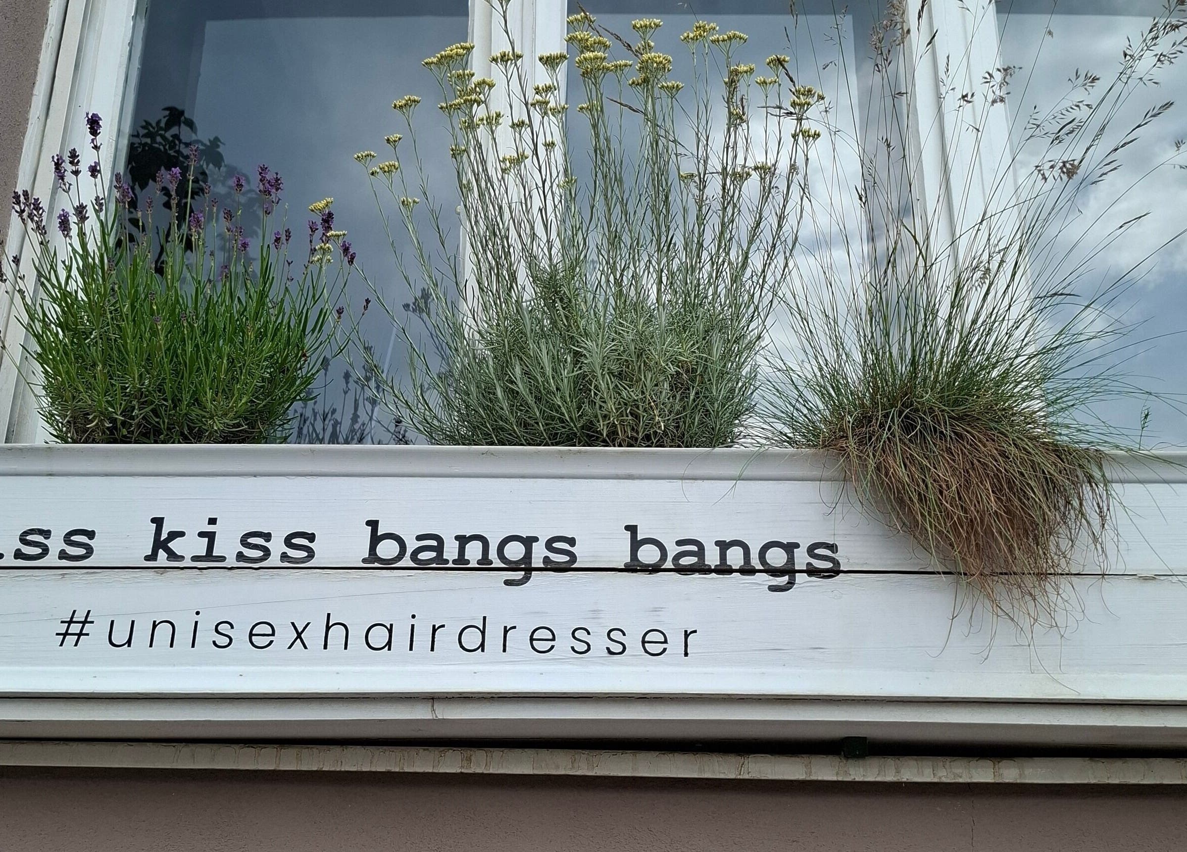 Natpis 'Kiss kiss bangs bangs' s biljkama ispred prozora u Novom Sadu, Vojvodina, RS.