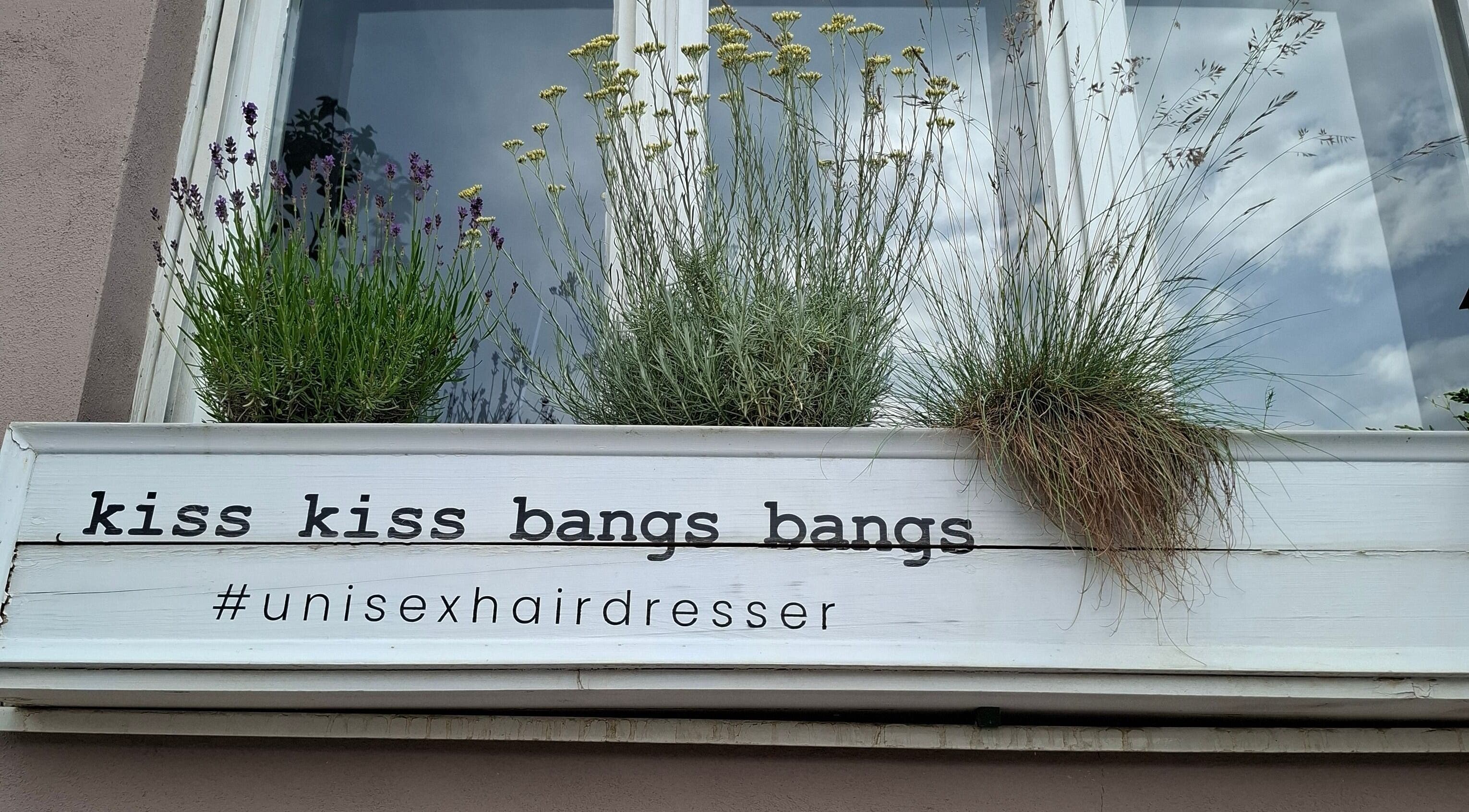 Natpis 'Kiss kiss bangs bangs' s biljkama ispred prozora u Novom Sadu, Vojvodina, RS.