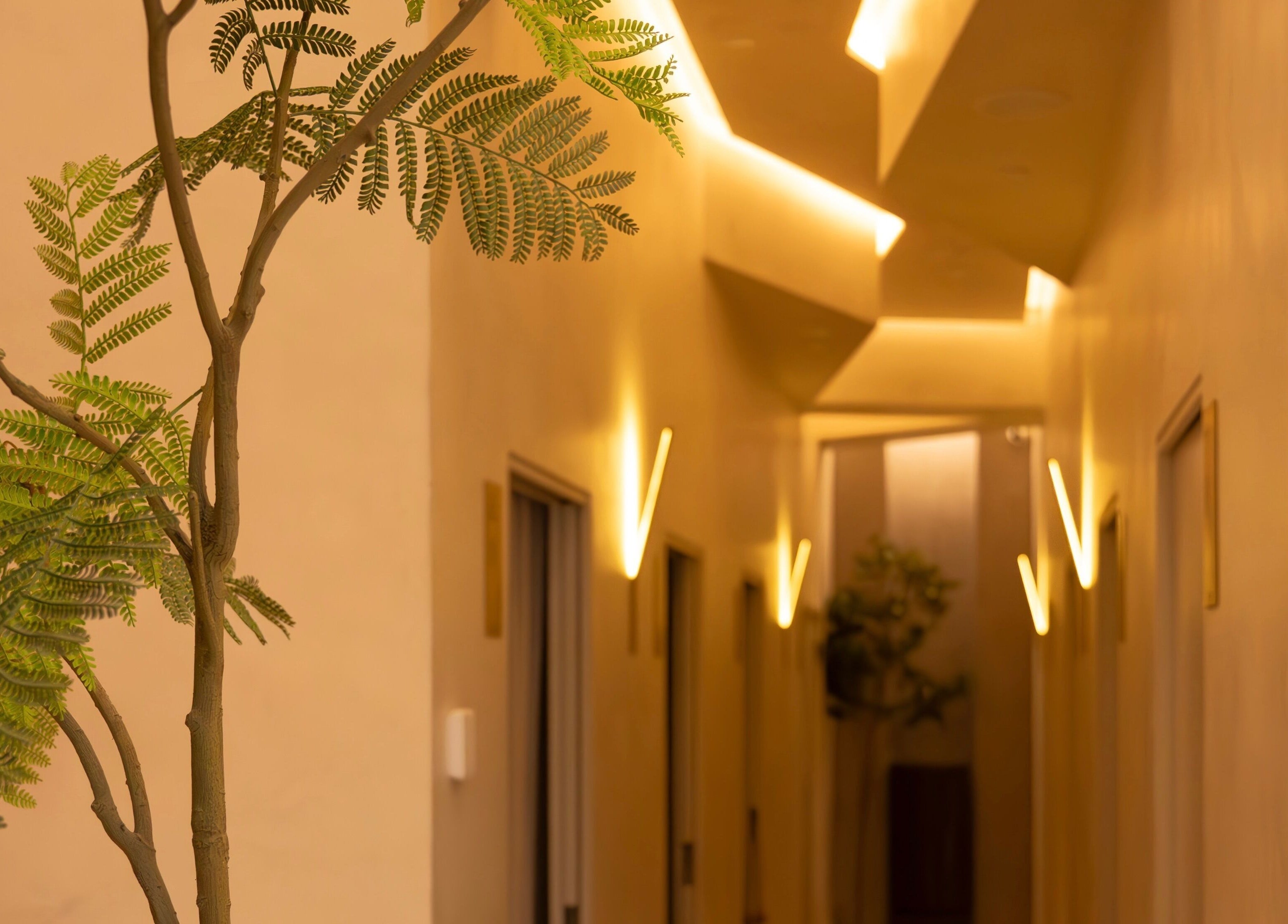 Calming corridor with ambient lighting at Ambience Wellness - Claremont, Claremont, Western Australia, AU.